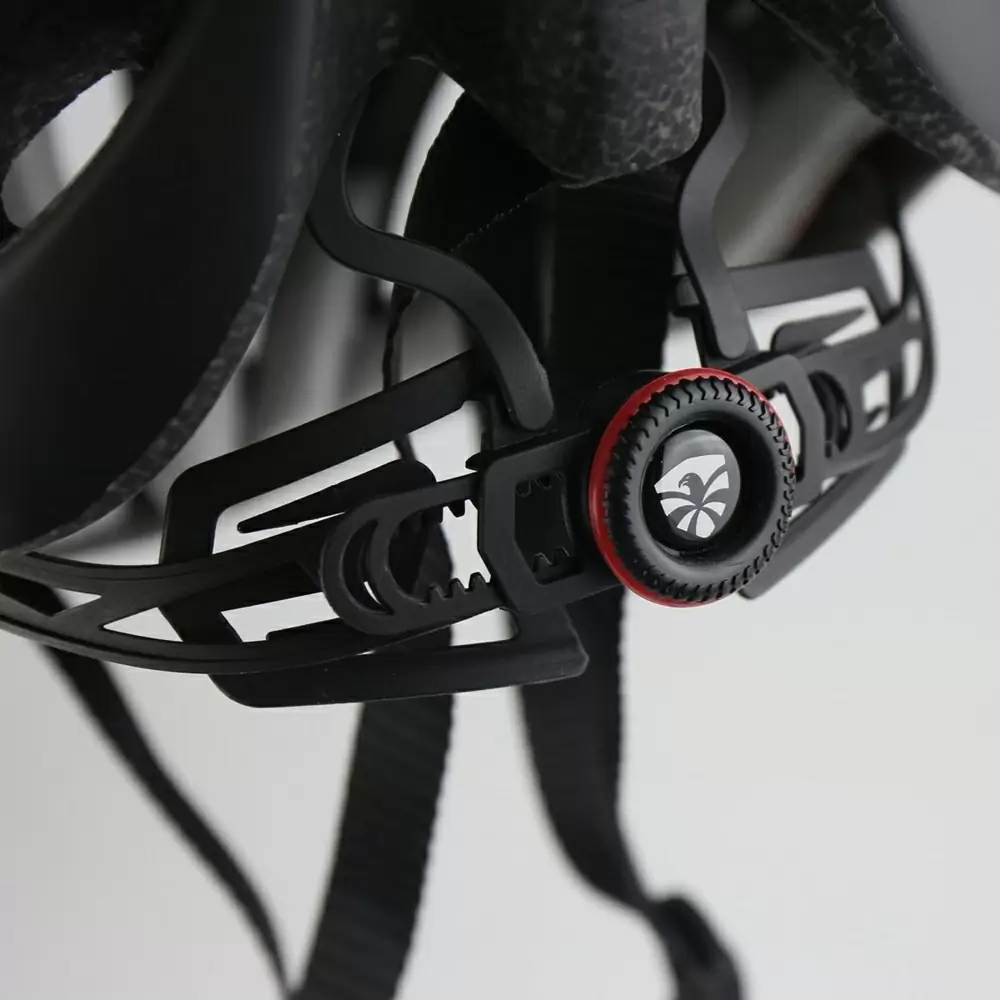 Flying Eagle Fast Forward — <Фото №5>