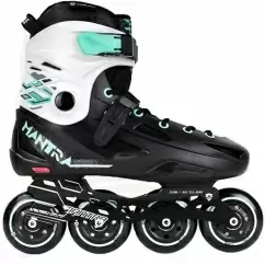 Ролики для всіх Flying Eagle F1 Mantra